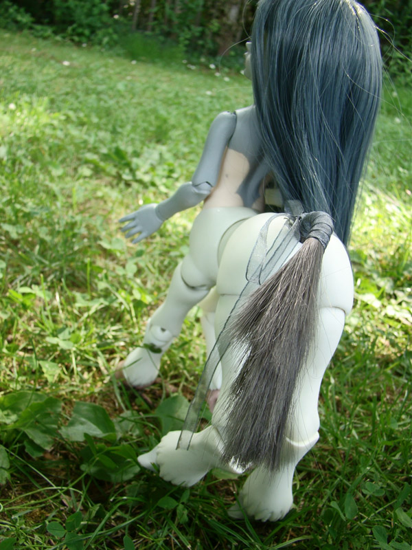 Grey, "mon petit poney" (Gritt on Canelle's body) DSC02690