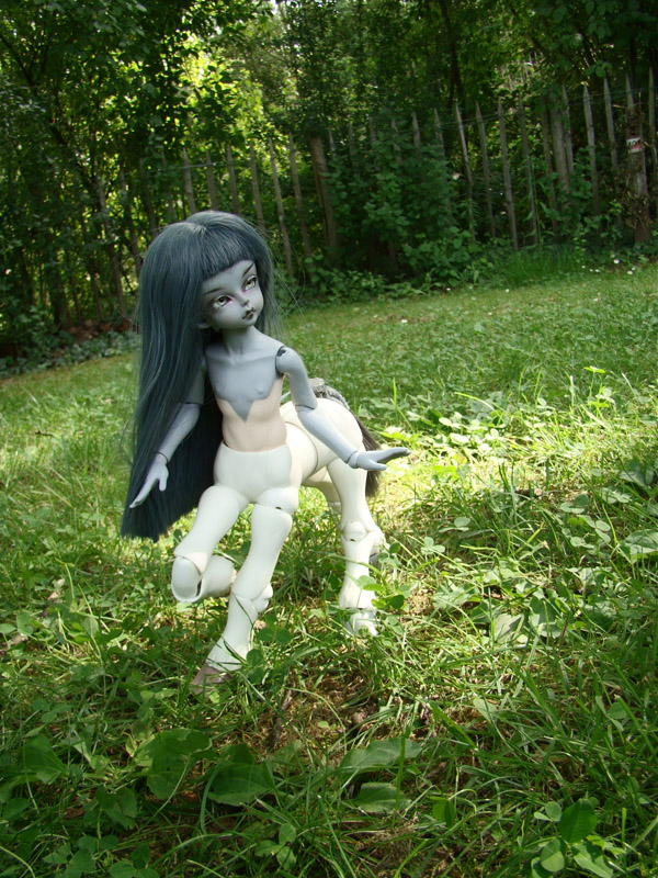 Grey, "mon petit poney" (Gritt on Canelle's body) DSC02701
